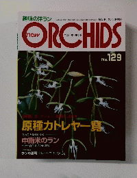 ORCHIDS　129　2005年1月1日