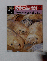 朝日百科動物たちの地球　51　6月14日号