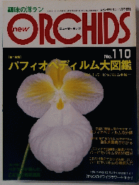 ニューオーキッド 2001年11月19日