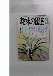 趣味の園芸　１９９１年3月号