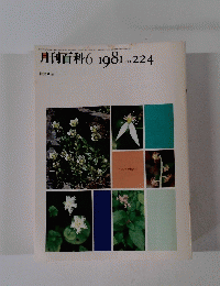月刊百科 6 1981　昭和56年8月1日発行