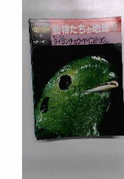 朝日百科 動物たちの地球 30