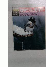朝日百科　動物たちの地球　27　12/22 カワセミ・ハチクイほか