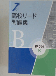 高校リード問題集 B 英文法　B