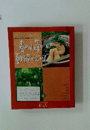 春の山菜夏野菜のおかず 4号