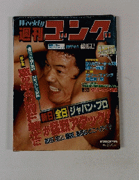 週刊ゴング　1984年号