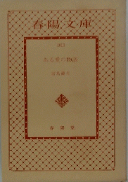ある愛の物語