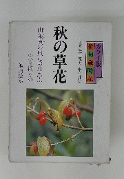 秋の草花