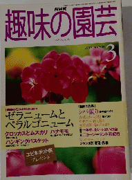 NHｋ趣味の園芸　１９９９年３月号