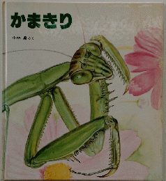 かまきり