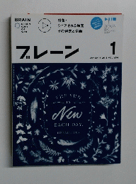 プレーン 2015 1