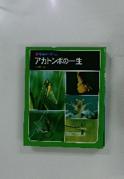 アカトンボの一生