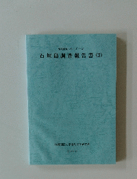 石垣島調査報告書(3)　2005