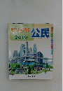 ビジュアル公民　2019