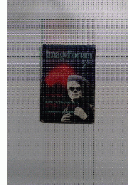 Image　Forum　8