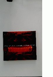  EYE OF THE STORM JAPAN TOUR