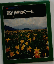 科学のアルバム31　高山植物の一年