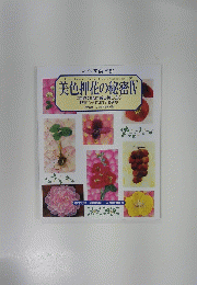 美色押花の秘密　Ⅳ