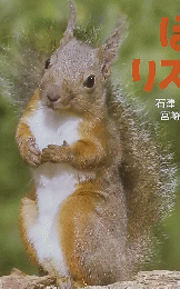 ぼくリスだよ