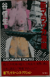 新マラッカ海峡