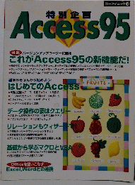 Access　95