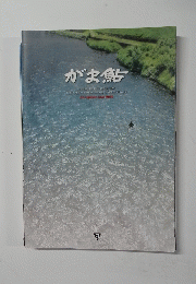 がま鮎　2010年
