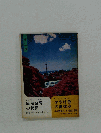 原潜S号 の秘密、夕やけ色 の夏休み