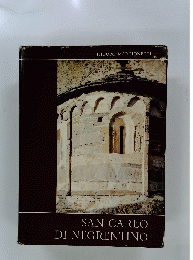 SAN CARLO DI NEGRENTINO