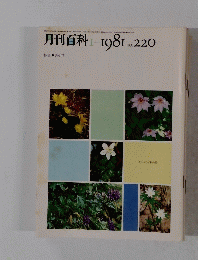 月刊百科　1981年1月号　No.220