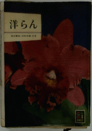 洋らん