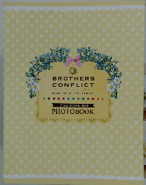 BROTHERS CONFLICT