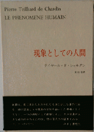 現象としての人間
