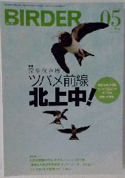 BIRDER　2012年5月号