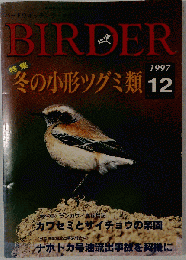 BIRDER「バーダー」 1997-12