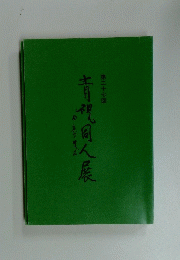 青視同人展