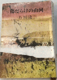 傷だらけの山河