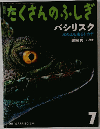 たくさんのふしぎ 7号