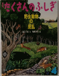 たくさんのふしぎ　4号