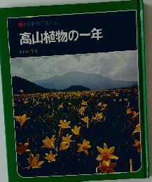 科学のアルバム　高山植物の一年
