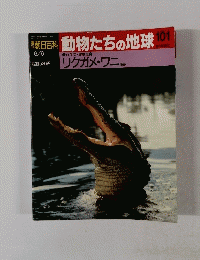 動物たちの地球　101　リクガメ・ワニほか