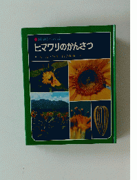 科学のアルバム　ヒマワリのかんさつ