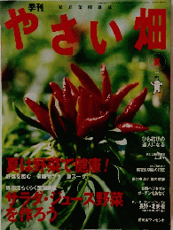 やさい畑　夏 2003