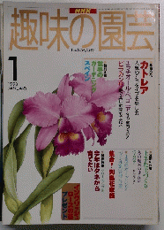 趣味の園芸　１９９８年１月号