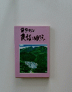 藤魚町の民話と目跡