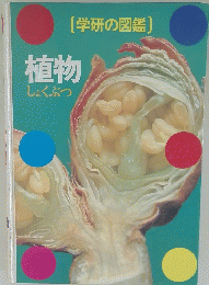 学研の図鑑　植物
