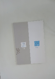 Wall Art Festival Book　インドしろいかべのキセキ