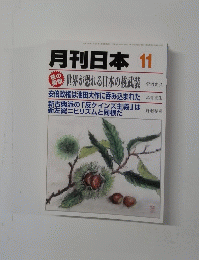 月刊日本　11　