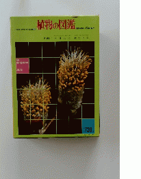 植物の図鑑
