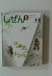 しぜん8　せみ