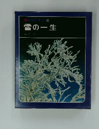 雪の一生　４８